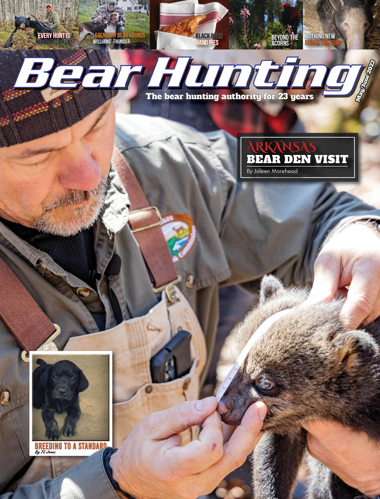 2023 Issue 3 May/June
