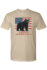 Red, White, & Bruin Short Sleeve Crew