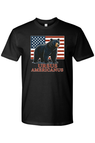 Red, White, & Bruin Short Sleeve Crew