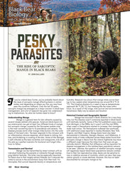 Pre-Order - 2026 Issue 6 November/December
